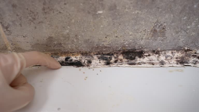 Mold Exposure & Symptoms